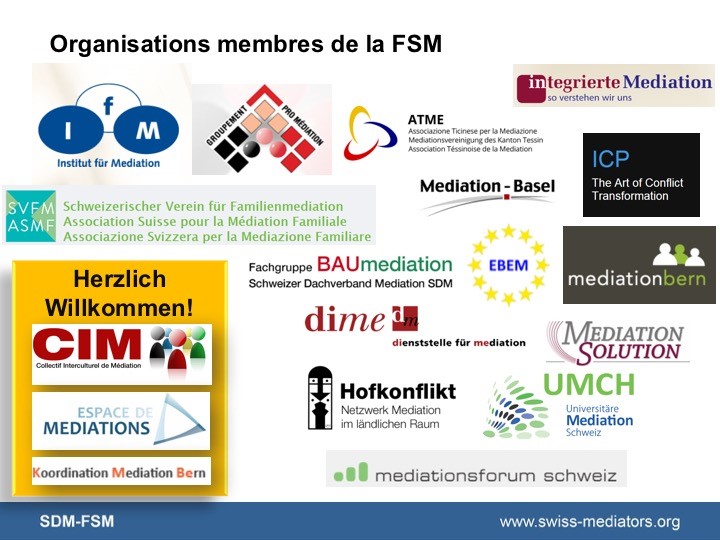 fsm01