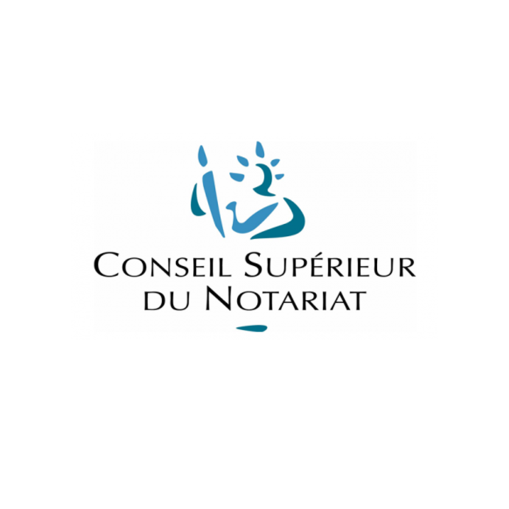 Conseil Supérieur du Notariat